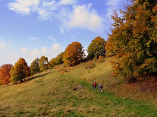 Frilutsliv: arte norvegese